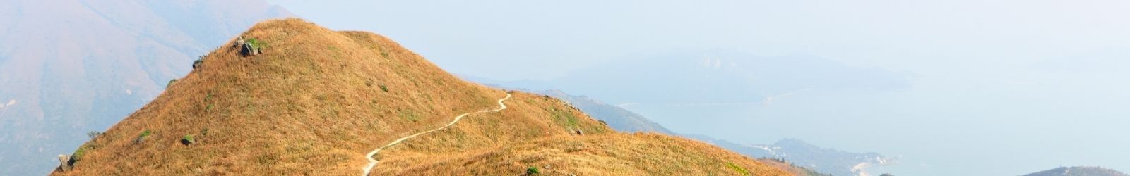 ESOP Tax Advantage Calculator